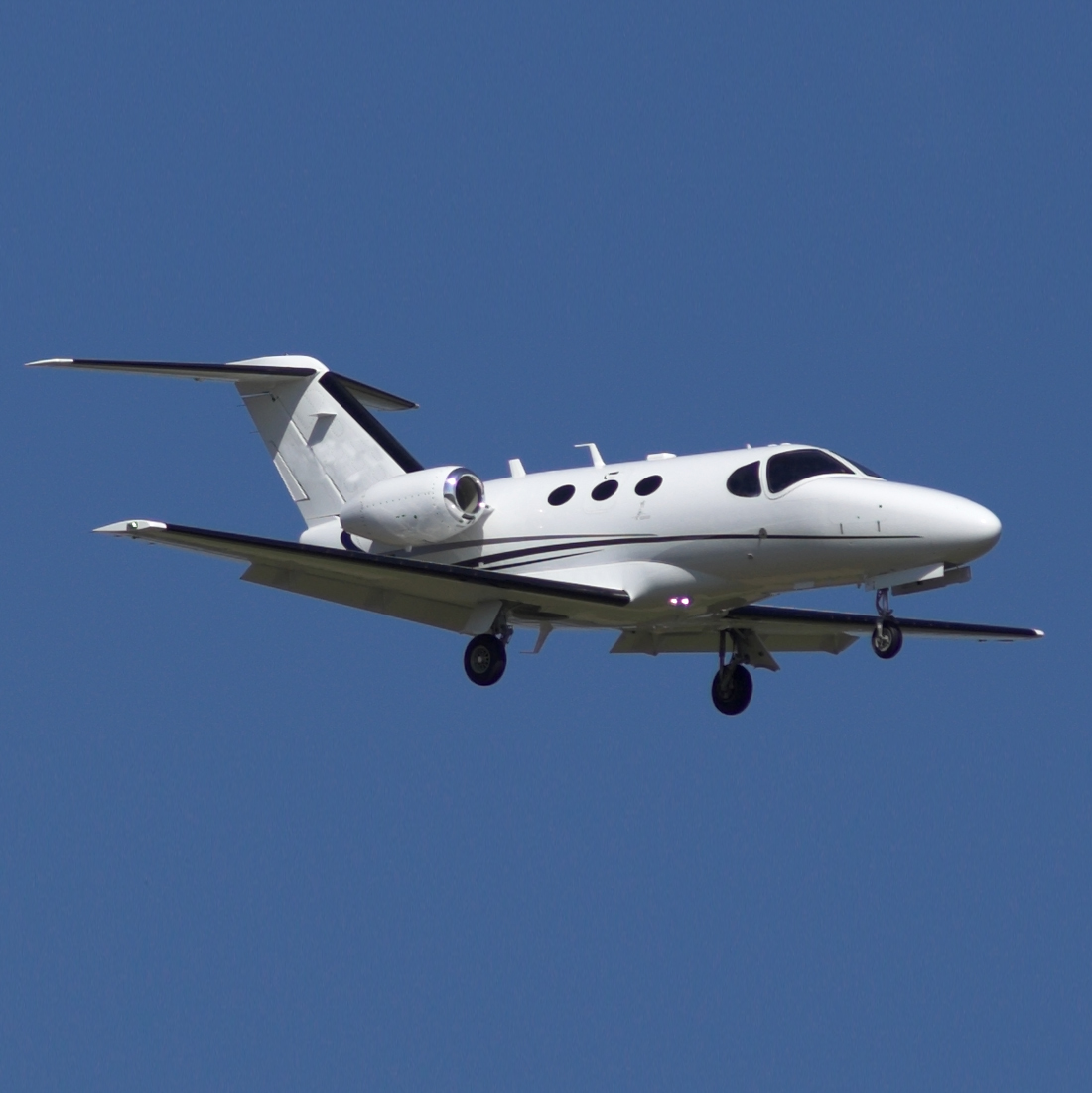citation-mustang-copie